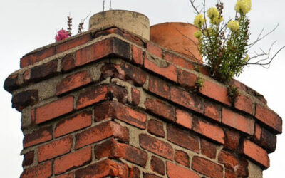Chimney Leak Damage McMinnville, TN