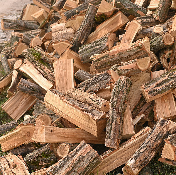 Seasoned Firewood in Madison TN