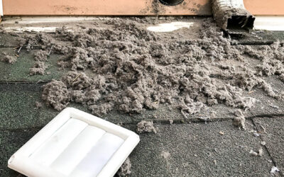 Dirty dryer vent in fayetteville tn