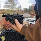 creosote buildup in Fayetteville, TN